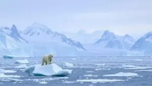 Leia mais sobre o artigo Geopolítica do Ártico: A Corrida pelos Recursos Naturais