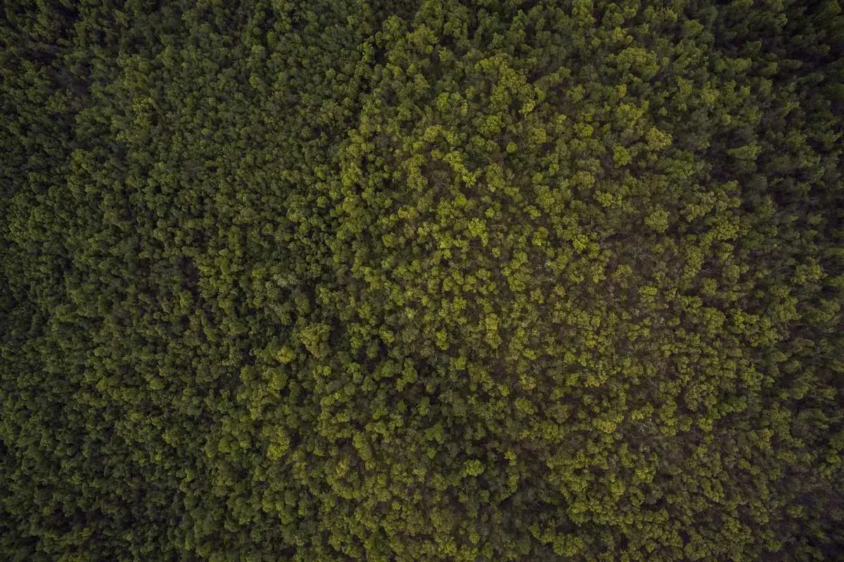 No momento, você está visualizando Ascensão de movimentos populistas na Europa em 2025