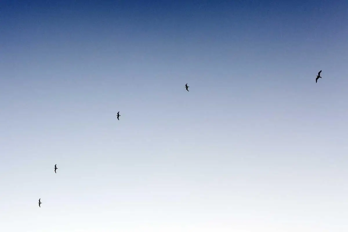 No momento, você está visualizando Dicas de gestão financeira para PMEs em 2025