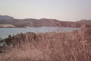 Leia mais sobre o artigo Oportunidades em investir em moedas estrangeiras em 2025