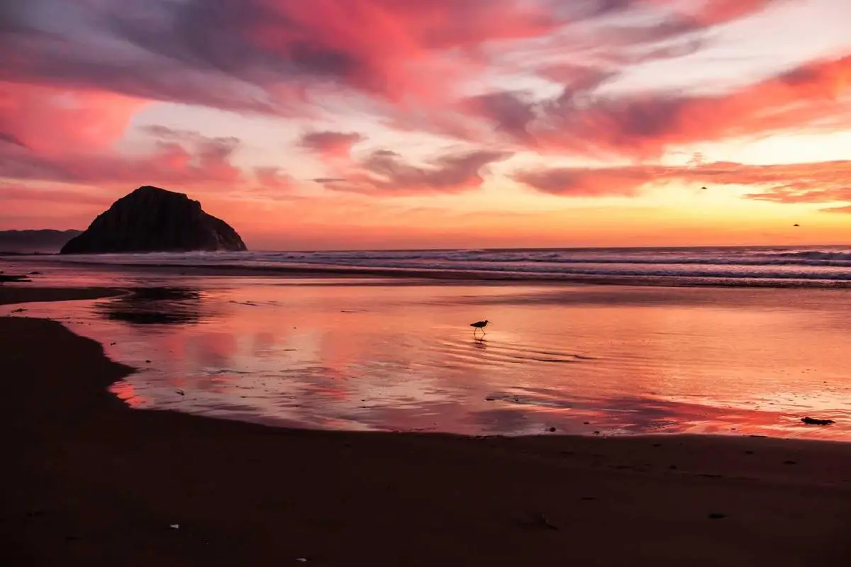 Leia mais sobre o artigo Tensões Índia-China na Fronteira: Disputa Geopolítica em 2025