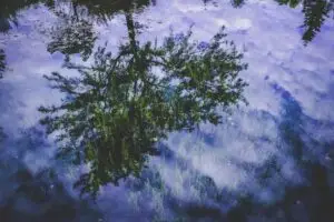 Leia mais sobre o artigo Adoção de Moedas Digitais por Governos Municipais em 2026