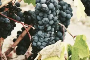 Leia mais sobre o artigo Destaque-se no mercado em 2026 como empreendedor de sucesso