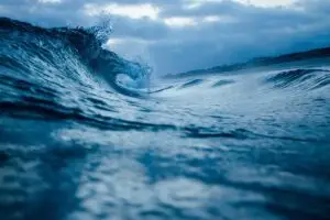 Leia mais sobre o artigo Empreender com sustentabilidade em 2026: novas oportunidades