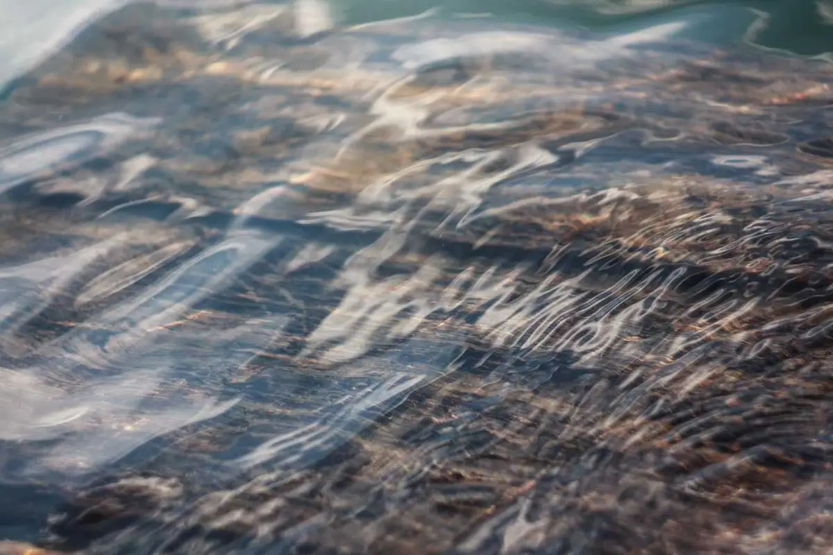 Leia mais sobre o artigo Liderança e Gestão de Equipes em Empresas Nascentes em 2026