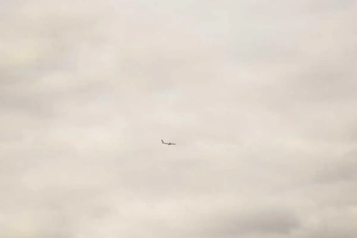 Leia mais sobre o artigo Previsões do mercado de câmbio internacional em 2026