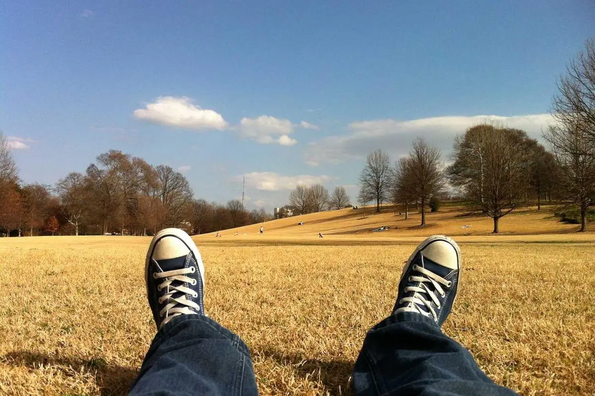 Leia mais sobre o artigo Oportunidades de negócios com a desvalorização do real em 2026