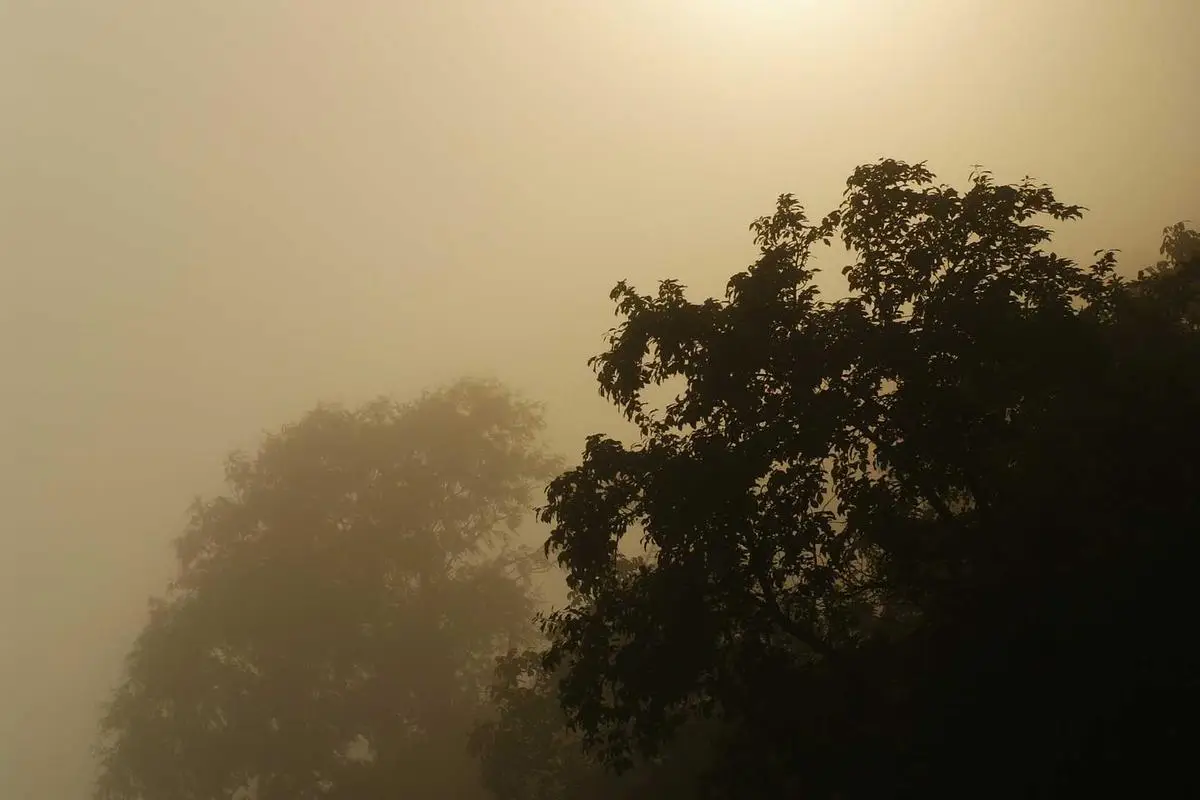 No momento, você está visualizando As implicações geopolíticas da IA em 2026 no Brasil