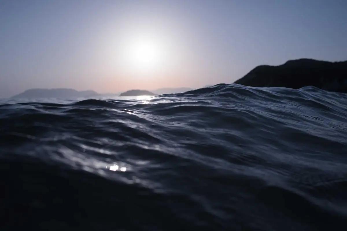 No momento, você está visualizando Aumento da demanda por produtos sustentáveis em 2026 no Brasil