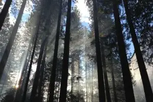 Leia mais sobre o artigo Cotações de moedas digitais em alta no mercado atual em 2026