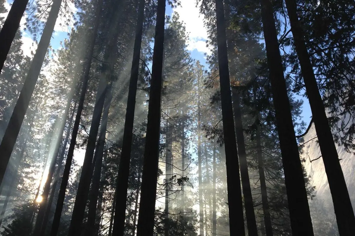 Leia mais sobre o artigo Cotações de moedas digitais em alta no mercado atual em 2026