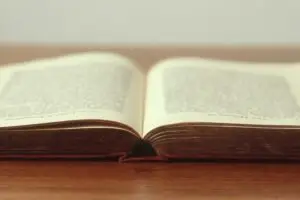 Leia mais sobre o artigo Empreendedorismo feminino em 2026: oportunidades no mercado