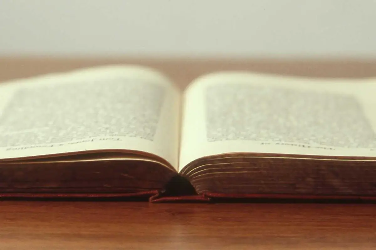 Leia mais sobre o artigo Empreendedorismo feminino em 2026: oportunidades no mercado