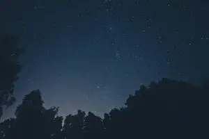 Leia mais sobre o artigo Brasil 2026: As Oportunidades Econômicas que Estão Transformando o País