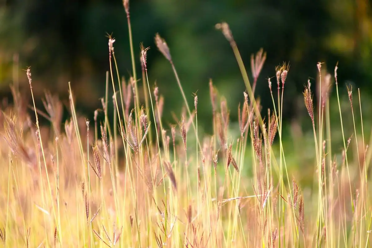 No momento, você está visualizando Liderança feminina no empreendedorismo brasileiro em 2026