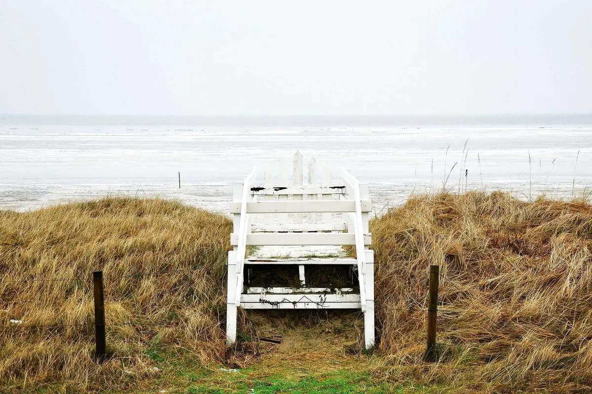 Leia mais sobre o artigo Moedas eletrônicas: a nova realidade financeira em 2026